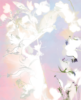 白化_声帯_段丘